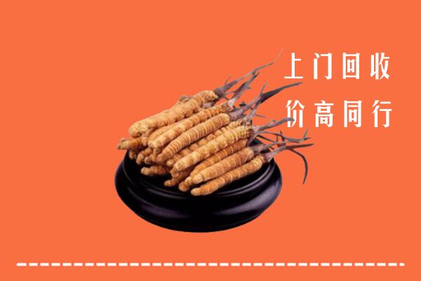 高价求购：玉溪回收散虫草