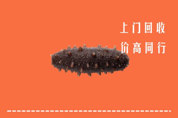 玉溪回收海参