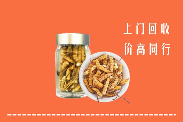玉溪回收冬虫夏草