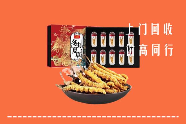玉溪回收虫草